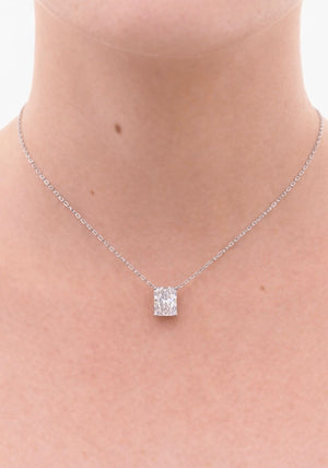 COLLIER AGAVE